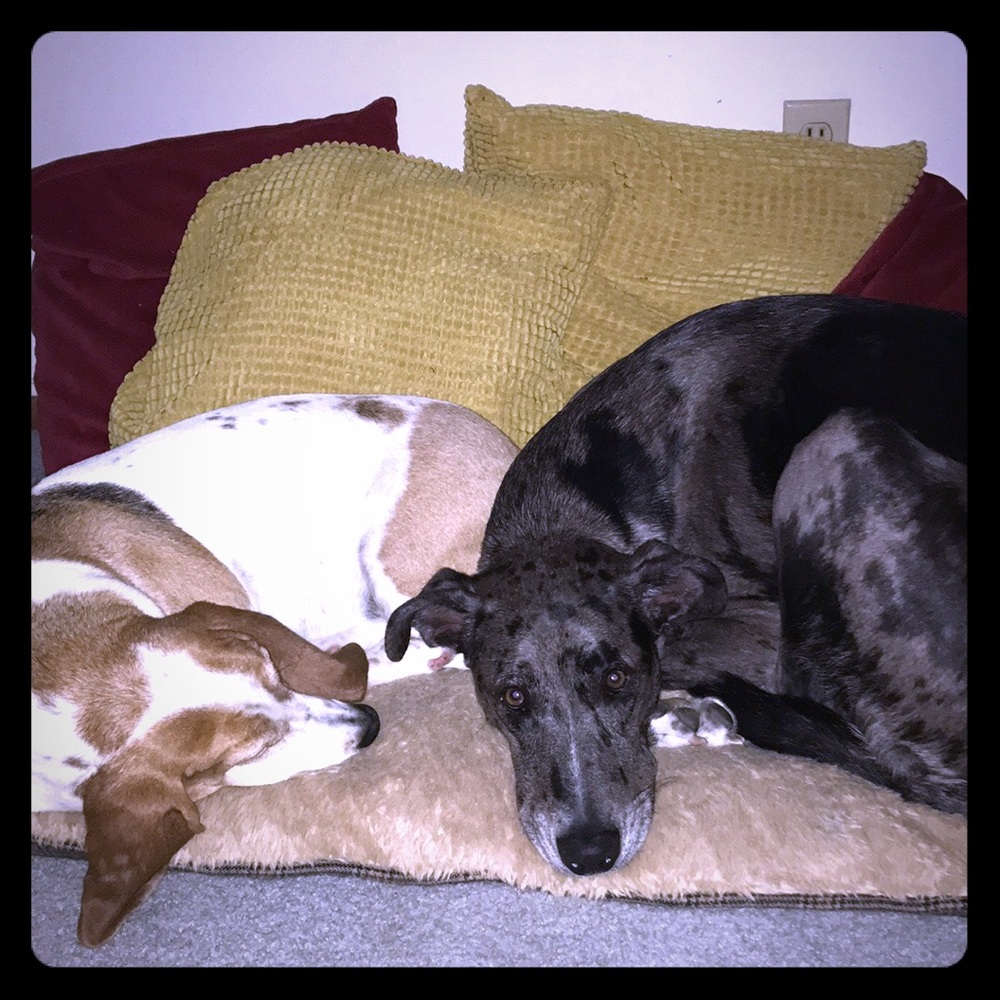 My best friends